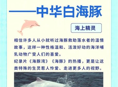信及豚鱼是什么意思?典故来源一次说清楚!