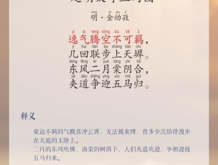 马中关五什么意思?别再问了,答案都在这里!