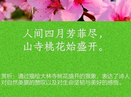 人面桃花的意思你知道吗?这句诗词背后有段爱情。