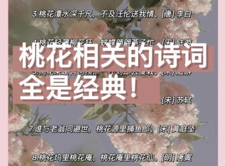 人面桃花的意思你知道吗?这句诗词背后有段爱情。