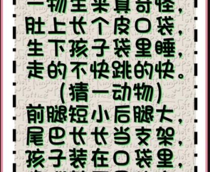 指天誓日打一最佳动物?解密谜底大揭秘!