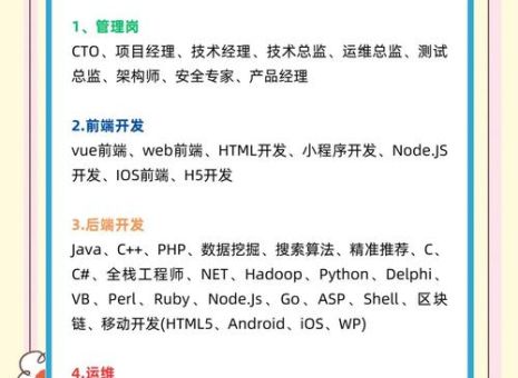 it男什么意思?和程序员是一个概念吗?