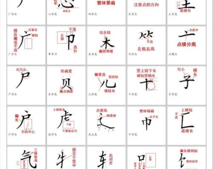 菜的部首有什么用?了解汉字结构的奥秘!