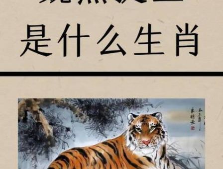 振笔疾书是什么生肖?这几种动物最符合它!