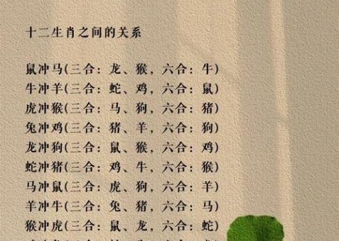 白手空拳代表哪个生肖？看看谁最能从无到有！