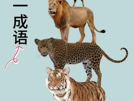 一举两失形容什么动物？答案揭晓你可能想不到！