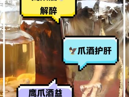斗酒百篇打一最佳动物是什么？轻松告诉你正确答案！