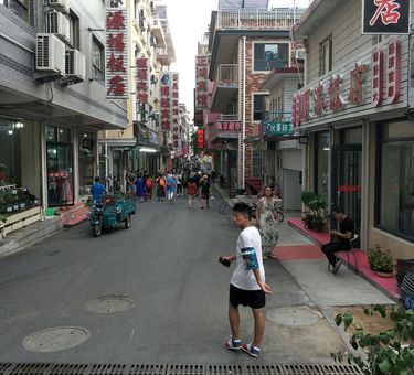 羽翼渐丰的意思解释！原来它的背后有这些故事！