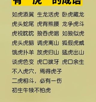 第十一本书打一个成语的答案揭晓，快来看看吧！