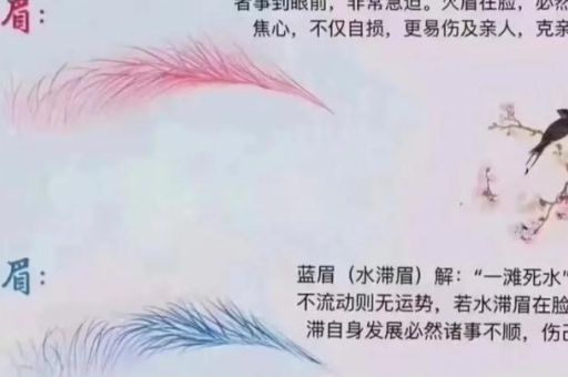 火烧眉毛打一准确动物是什么?正确答案揭晓!