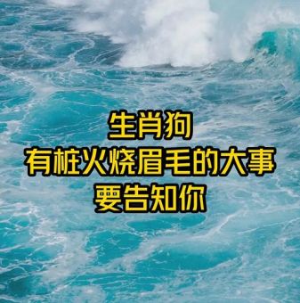 火烧眉毛打一准确动物是什么?正确答案揭晓!