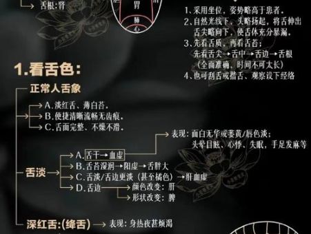 三寸之舌的意思是什么？看完这篇你就懂了！