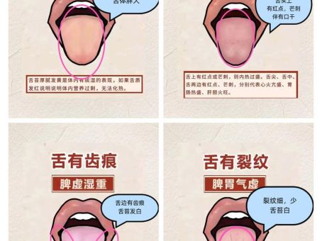 三寸之舌的意思是什么？看完这篇你就懂了！