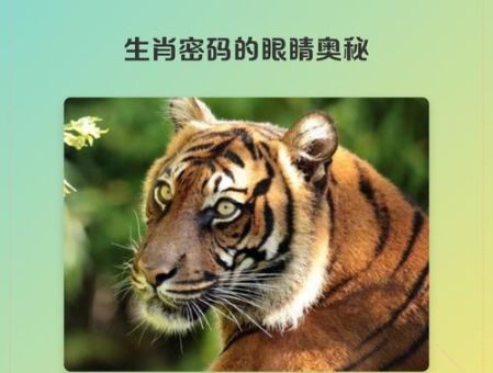 双目如潭的意思是什么?原来是形容这类人!