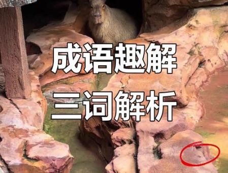 双目如潭的意思是什么?原来是形容这类人!