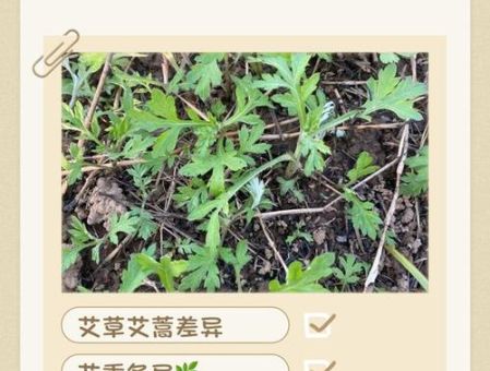 啥是期期艾艾的意思?这几个场景最常用!