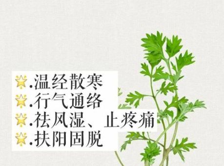 啥是期期艾艾的意思?这几个场景最常用!