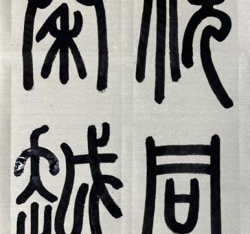 视同秦越的意思是什么？白话文轻松解释清楚