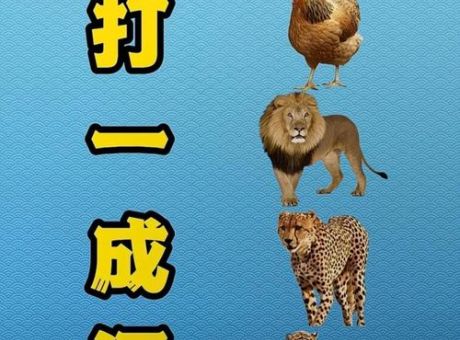 龙虎争霸猜一动物答案公布，看看你猜对了吗？