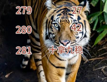 龙虎争霸猜一动物答案公布，看看你猜对了吗？