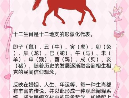 半两棉花是什么生肖？这个答案太有趣了！