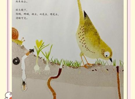 “掘地三尺是什么动物”的秘密：深度解析挖洞高手！