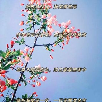 花香鸟语的意思是什么?一文搞懂它的美好寓意!