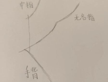快速学会“手的笔画”的技巧，简单又实用！