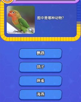 风华正茂打一最佳动物,猜猜看你会想到哪个它?