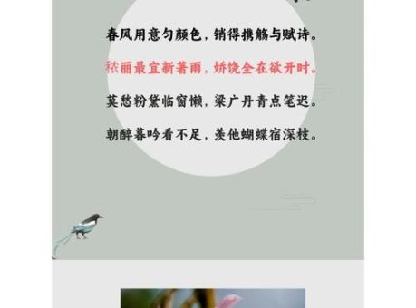 花枝招展的拼音是什么意思？一起来了解这个词！