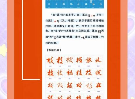 花枝招展的拼音是什么意思？一起来了解这个词！